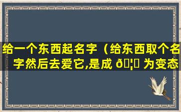 给一个东西起名字（给东西取个名字然后去爱它,是成 🦈 为变态的第一步）